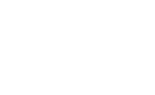 Ace Hardware
