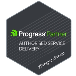 Progress Service Delivery Partner